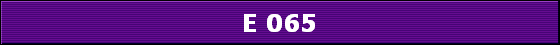 E 065