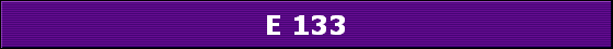 E 133