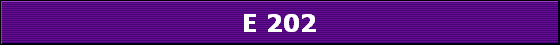E 202