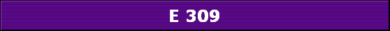 E 309