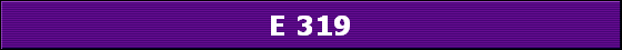 E 319